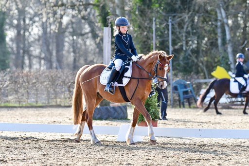 Reitsportzentrum Bremervörde | Dressurreiter WB _177 
