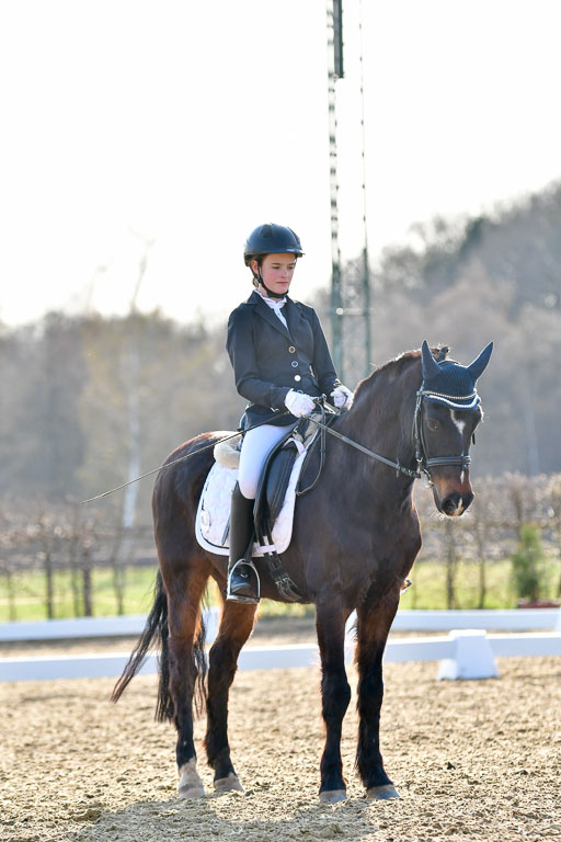 Reitsportzentrum Bremervörde | Dressurreiter WB _180 