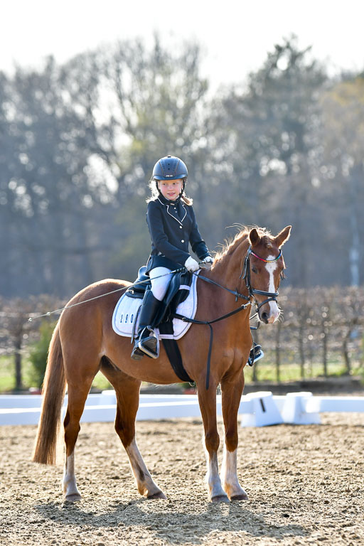 Reitsportzentrum Bremervörde | Dressurreiter WB _181 