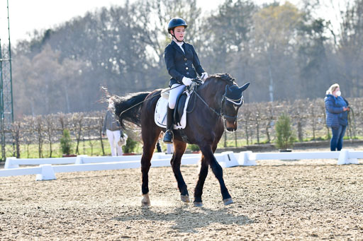 Reitsportzentrum Bremervörde | Dressurreiter WB _183 