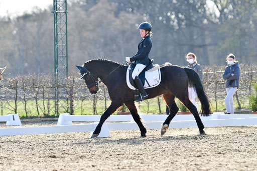 Reitsportzentrum Bremervörde | Dressurreiter WB _187 