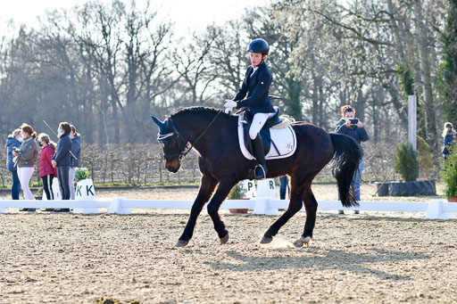 Reitsportzentrum Bremervörde | Dressurreiter WB _200 