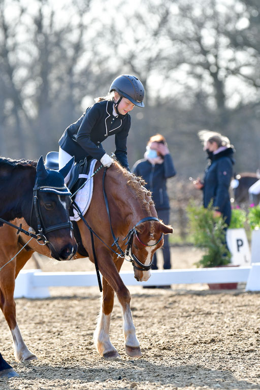 Reitsportzentrum Bremervörde | Dressurreiter WB _209 