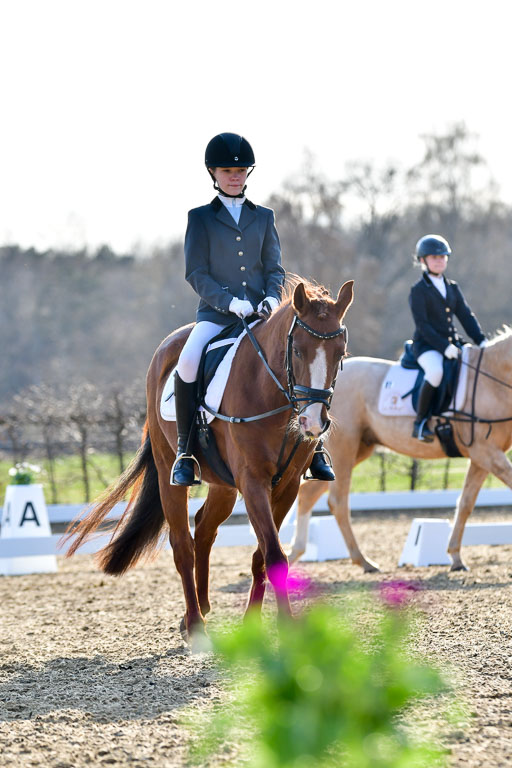 Reitsportzentrum Bremervörde | Dressurreiter WB _210 