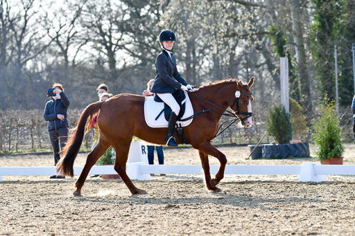 Reitsportzentrum Bremervörde | Dressurreiter WB _219 