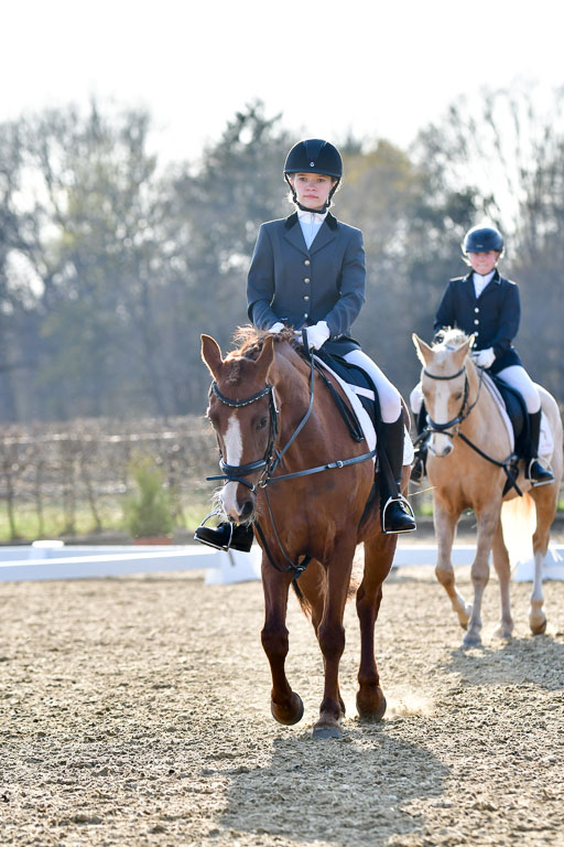 Reitsportzentrum Bremervörde | Dressurreiter WB _224 