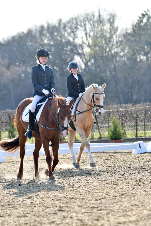 Reitsportzentrum Bremervörde | Dressurreiter WB _229 