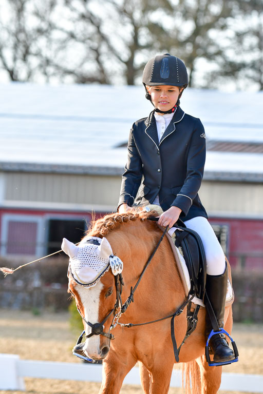 Reitsportzentrum Bremervörde | Dressurreiter WB _233 