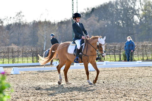 Reitsportzentrum Bremervörde | Dressurreiter WB _239 