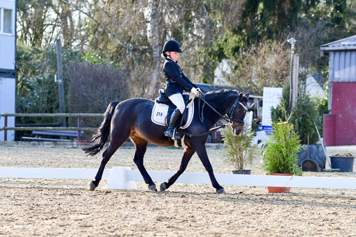 Reitsportzentrum Bremervörde | Dressurreiter WB _242 