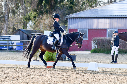 Reitsportzentrum Bremervörde | Dressurreiter WB _243 