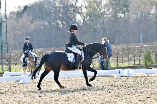 Reitsportzentrum Bremervörde | Dressurreiter WB _246 