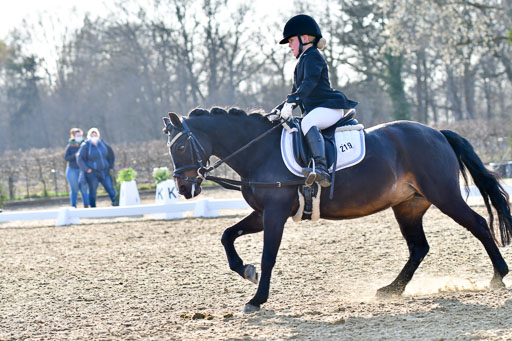 Reitsportzentrum Bremervörde | Dressurreiter WB _252 