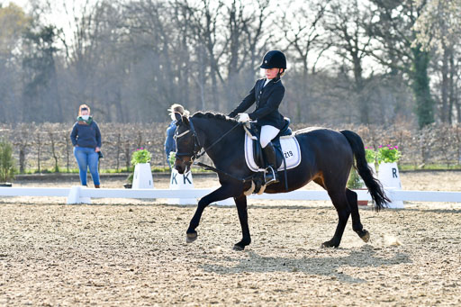 Reitsportzentrum Bremervörde | Dressurreiter WB _259 