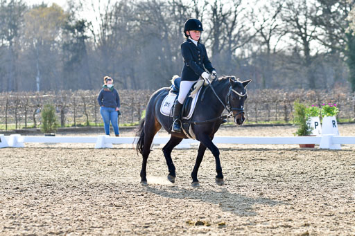 Reitsportzentrum Bremervörde | Dressurreiter WB _265 