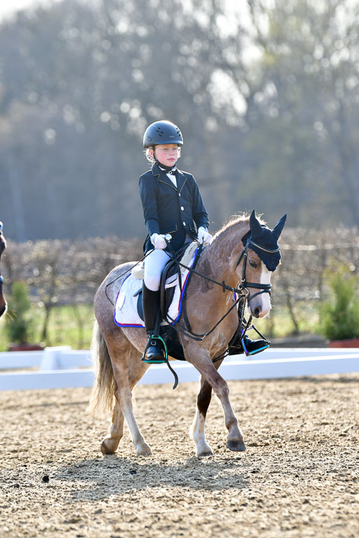 Reitsportzentrum Bremervörde | Dressurreiter WB _270 