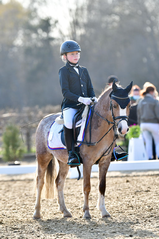 Reitsportzentrum Bremervörde | Dressurreiter WB _271 