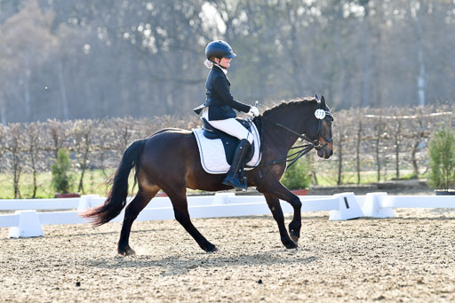 Reitsportzentrum Bremervörde | Dressurreiter WB 