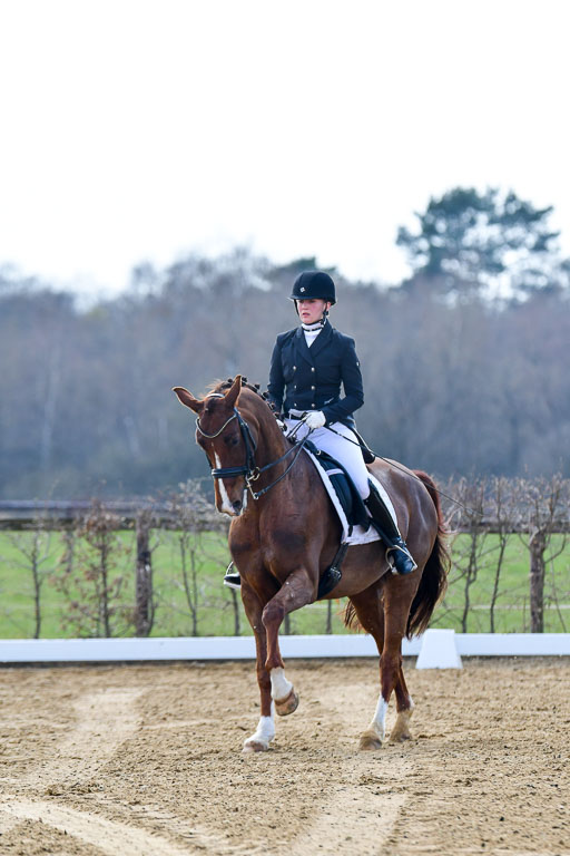 Reitsportzentrum Bremervörde | 10421 Prix St Georges_015 