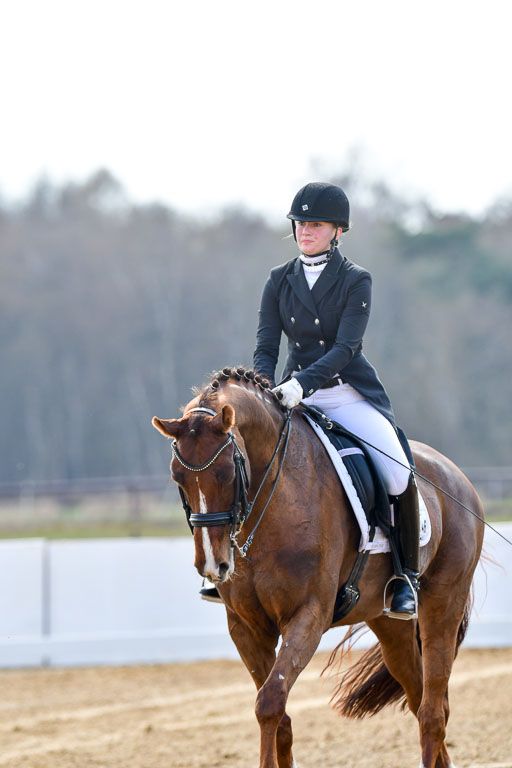 Reitsportzentrum Bremervörde | 10421 Prix St Georges_017 