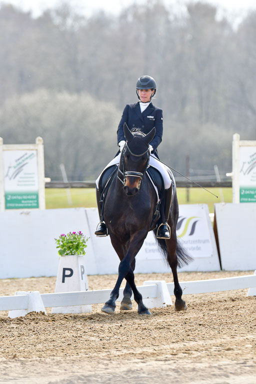 Reitsportzentrum Bremervörde | 10421 Prix St Georges_020 