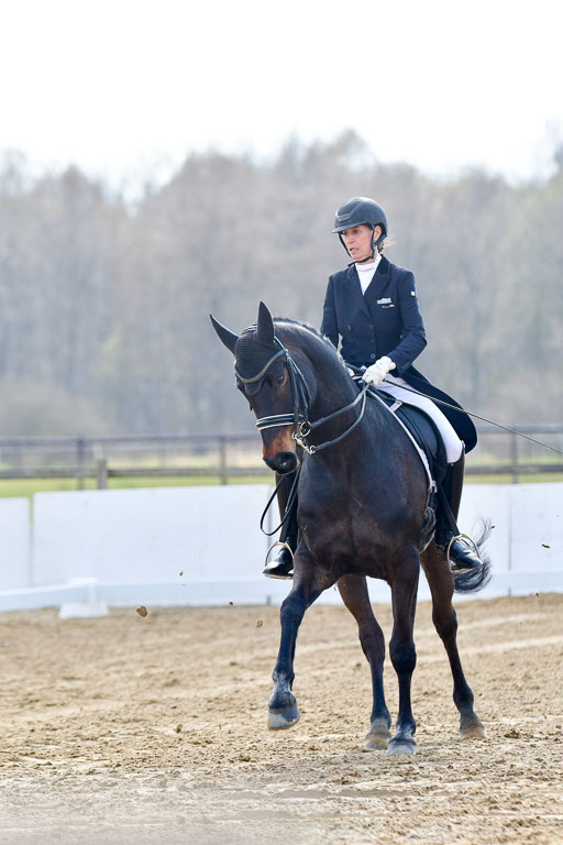 Reitsportzentrum Bremervörde | 10421 Prix St Georges_026 