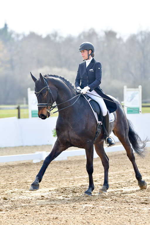 Reitsportzentrum Bremervörde | 10421 Prix St Georges_027 