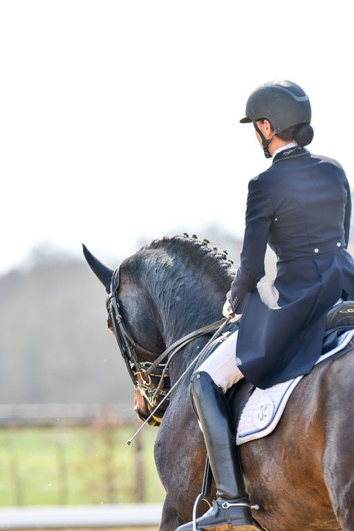 Reitsportzentrum Bremervörde | 10421 Prix St Georges_029 