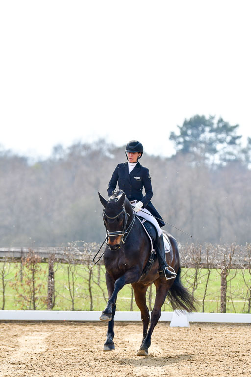 Reitsportzentrum Bremervörde | 10421 Prix St Georges_030 