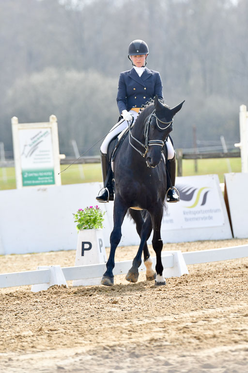 Reitsportzentrum Bremervörde | 10421 Prix St Georges_033 