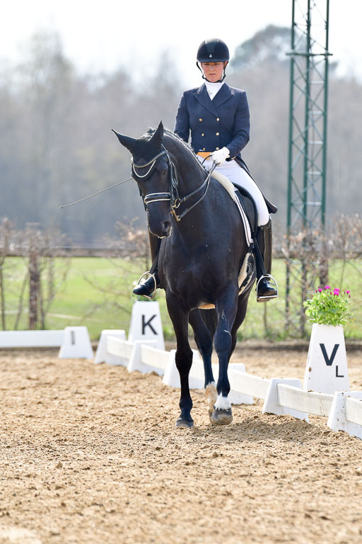 Reitsportzentrum Bremervörde | 10421 Prix St Georges_036 