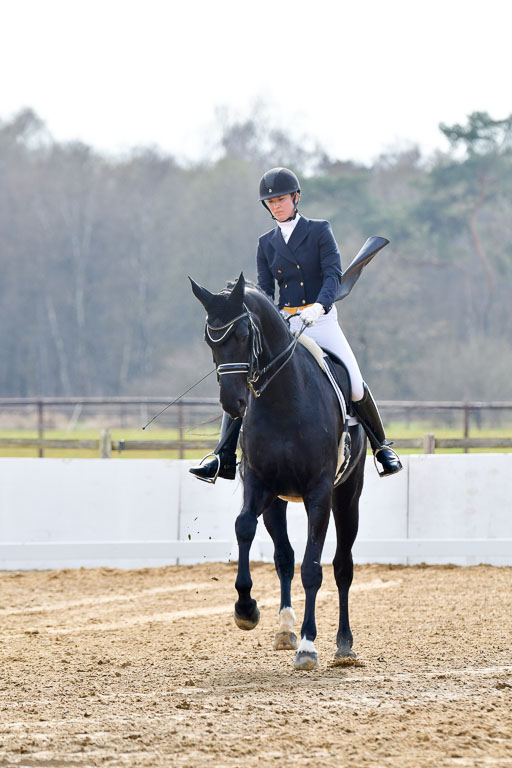 Reitsportzentrum Bremervörde | 10421 Prix St Georges_038 