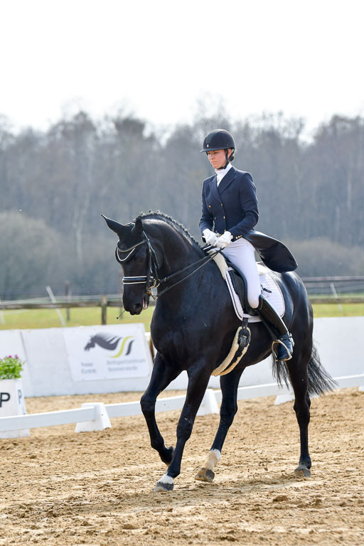 Reitsportzentrum Bremervörde | 10421 Prix St Georges_039 