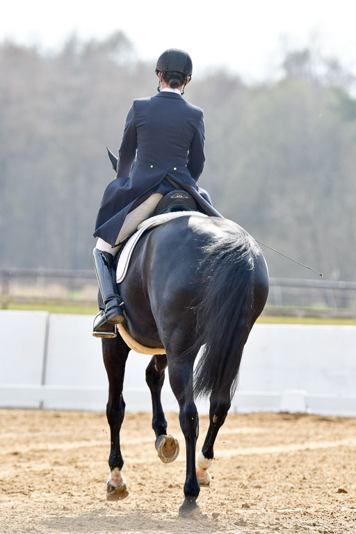 Reitsportzentrum Bremervörde | 10421 Prix St Georges_041 