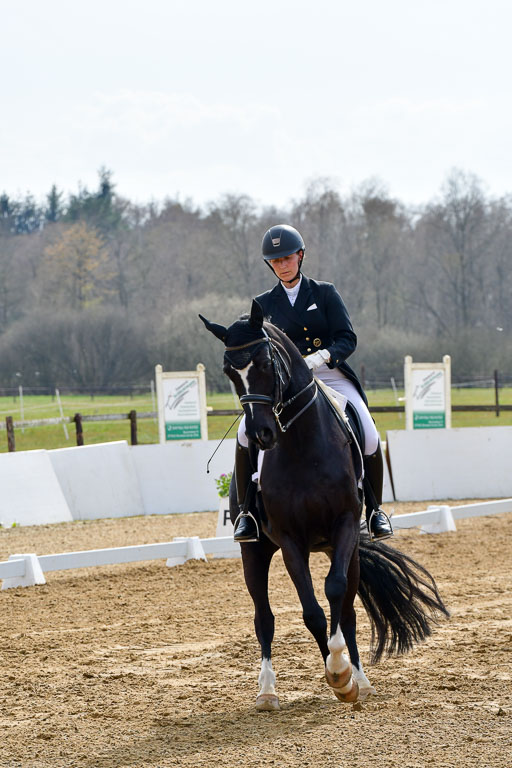 Reitsportzentrum Bremervörde | 10421 Prix St Georges_044 