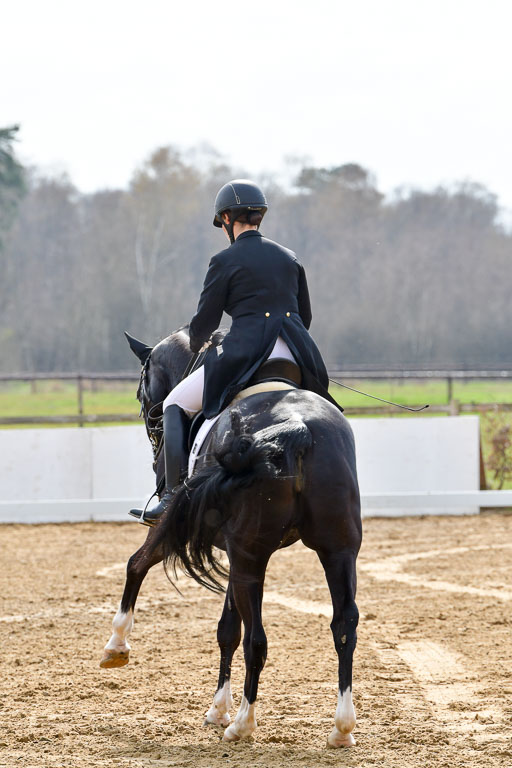 Reitsportzentrum Bremervörde | 10421 Prix St Georges_045 