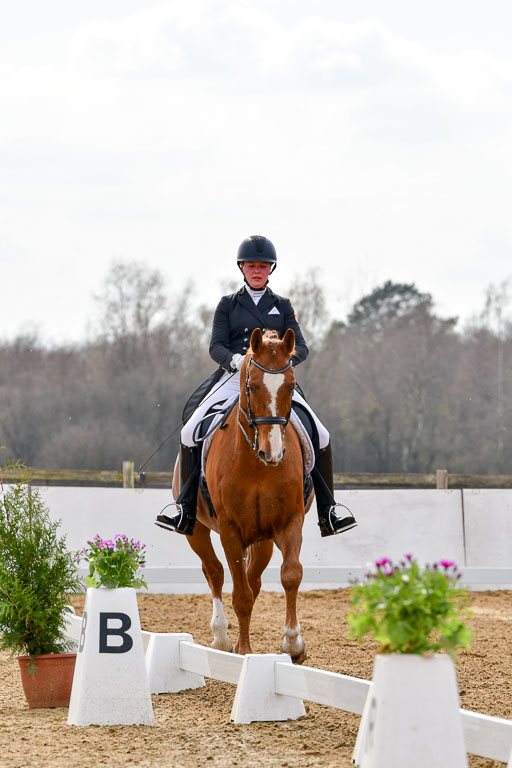 Reitsportzentrum Bremervörde | 10421 Prix St Georges_046 