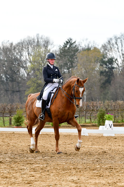 Reitsportzentrum Bremervörde | 10421 Prix St Georges_049 