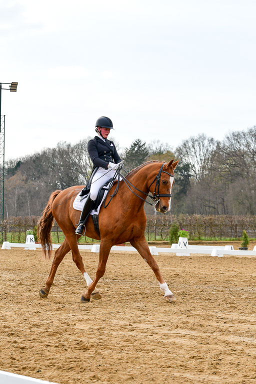 Reitsportzentrum Bremervörde | 10421 Prix St Georges_050 