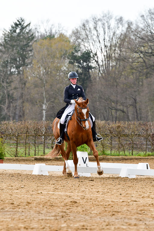 Reitsportzentrum Bremervörde | 10421 Prix St Georges_051 