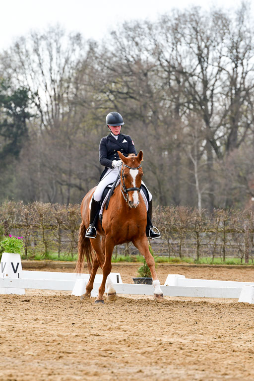 Reitsportzentrum Bremervörde | 10421 Prix St Georges_052 