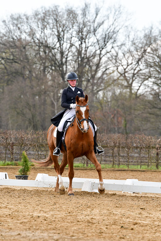 Reitsportzentrum Bremervörde | 10421 Prix St Georges_053 