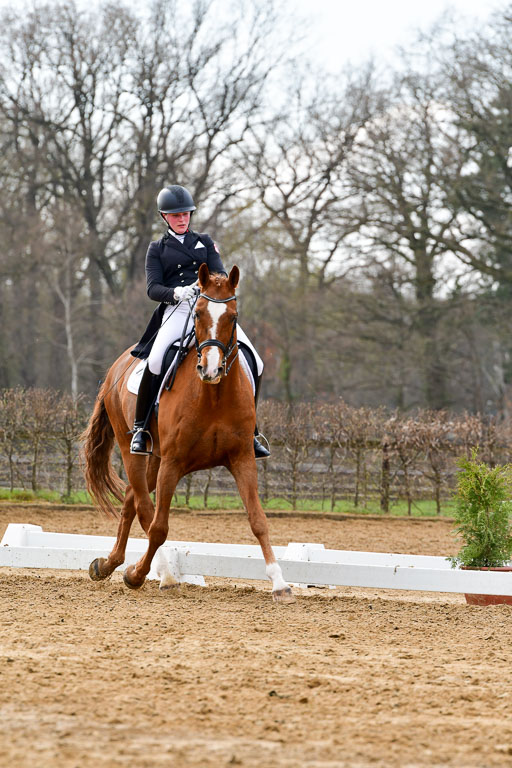 Reitsportzentrum Bremervörde | 10421 Prix St Georges_054 