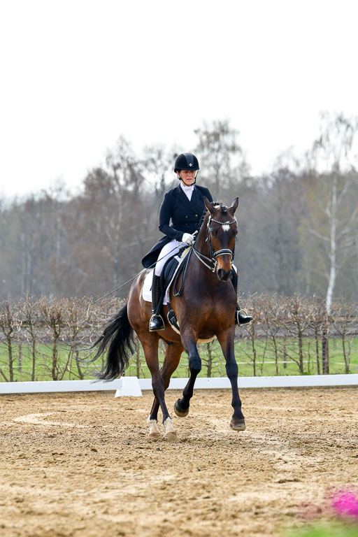 Reitsportzentrum Bremervörde | 10421 Prix St Georges_059 