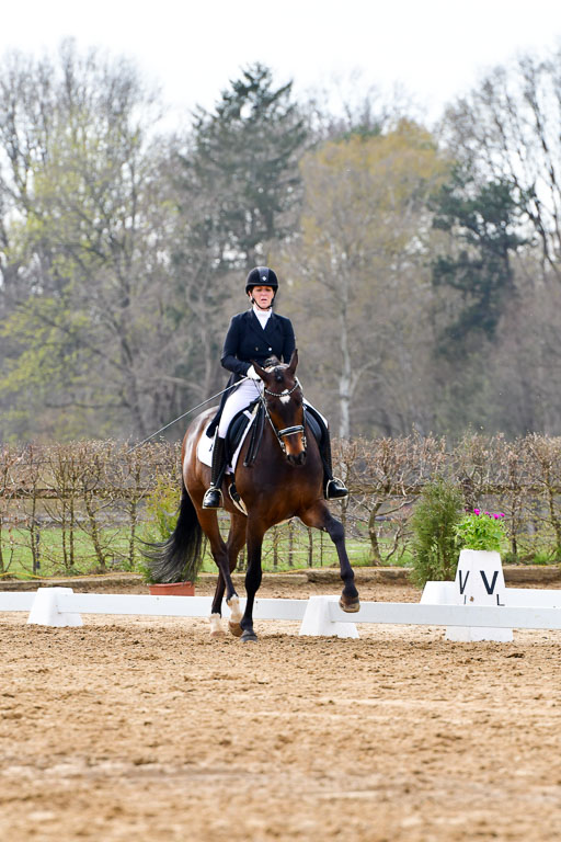 Reitsportzentrum Bremervörde | 10421 Prix St Georges_063 