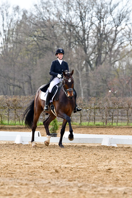 Reitsportzentrum Bremervörde | 10421 Prix St Georges_065 