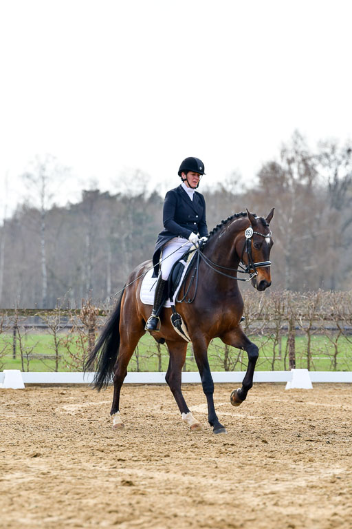 Reitsportzentrum Bremervörde | 10421 Prix St Georges_066 