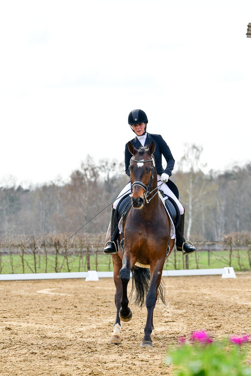 Reitsportzentrum Bremervörde | 10421 Prix St Georges_067 