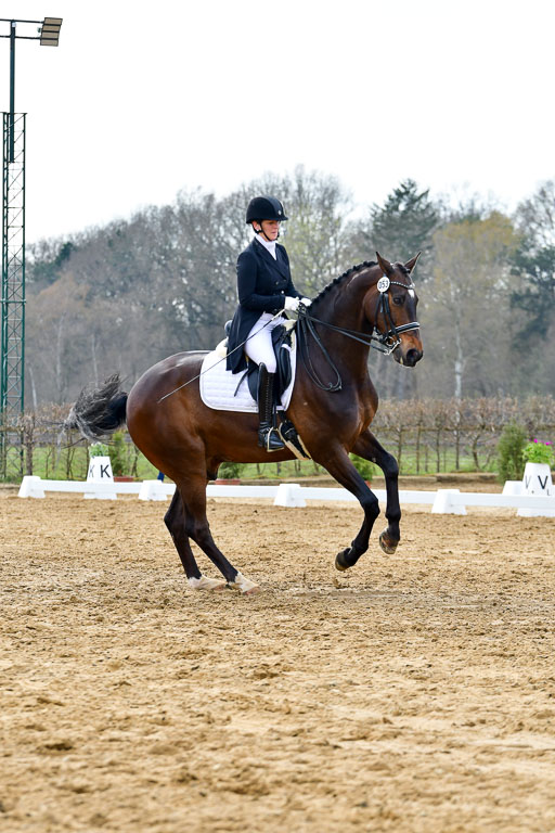 Reitsportzentrum Bremervörde | 10421 Prix St Georges_068 