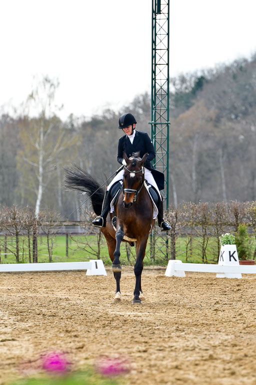 Reitsportzentrum Bremervörde | 10421 Prix St Georges_069 